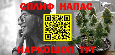 jwh Малоярославец