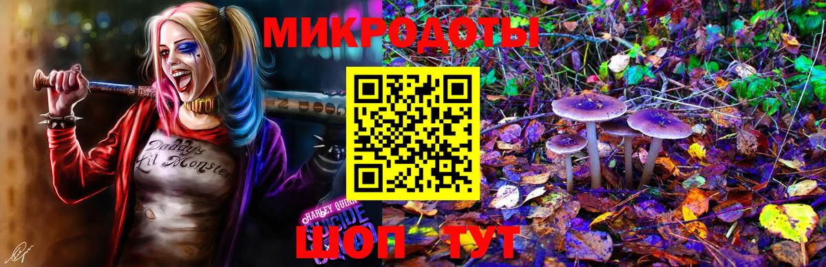 Псилоцибиновые грибы прущие грибы Верхний Уфалей