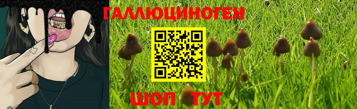 Галлюциногенные грибы Cubensis  где можно купить наркотик  Верхний Уфалей  Псилоцибиновые грибы ЛСД  Вход с VPN 